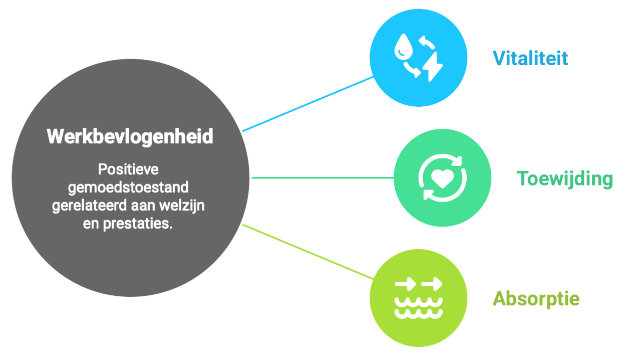 Werkbevlogenheid assessment afnemen