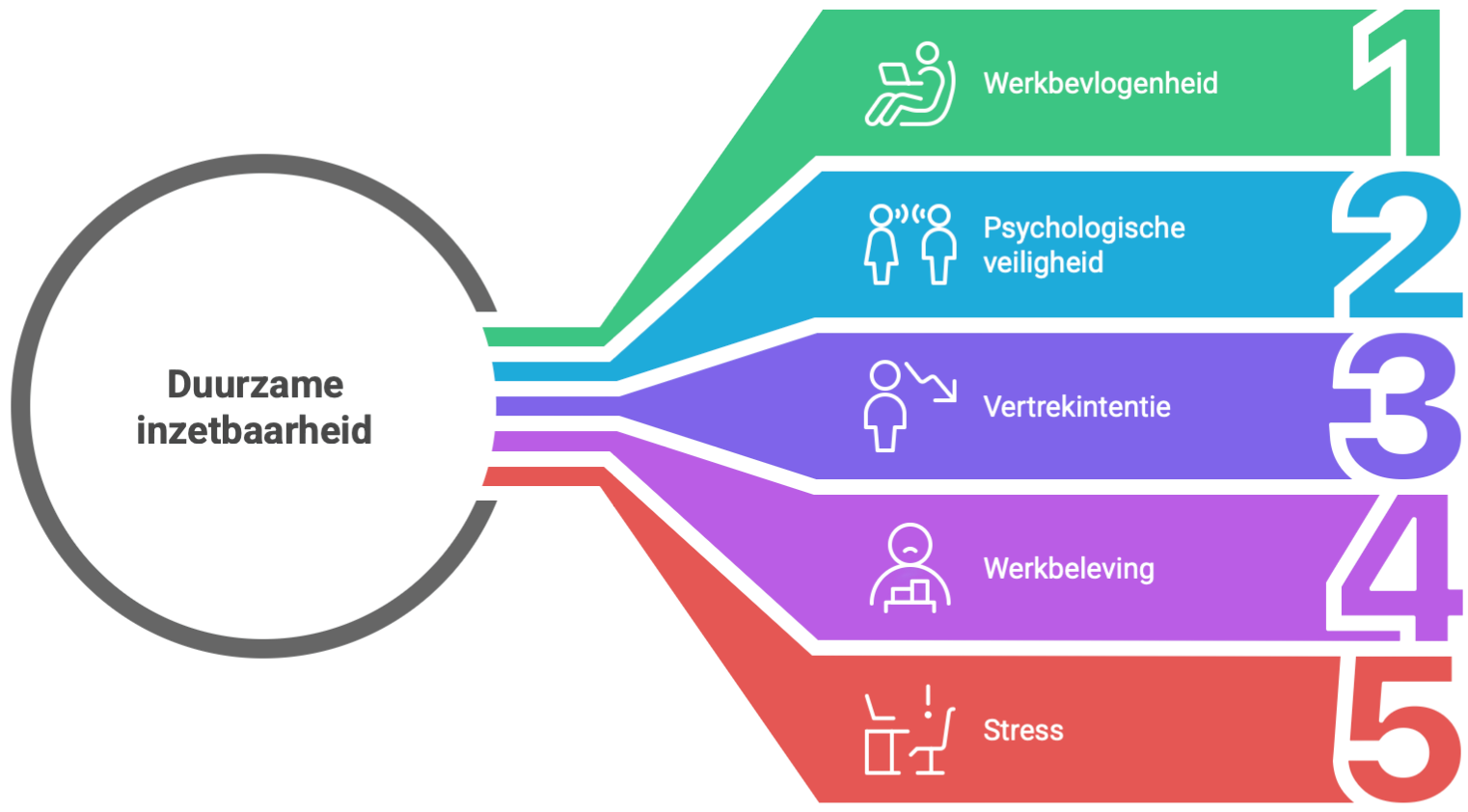 Cognera - Meten, weten, handelen